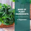 Natural Rodent and Pest Repellent - 8 Pack