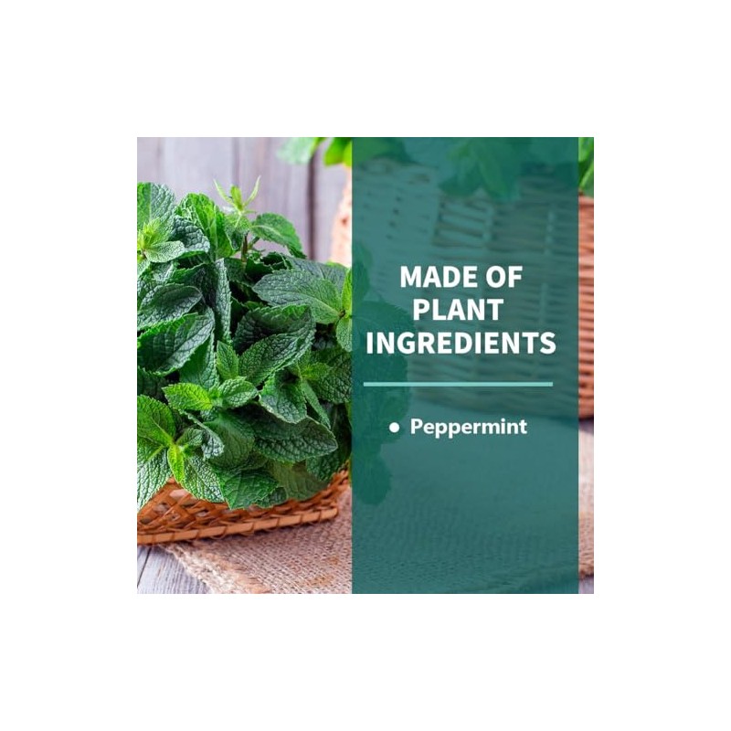 Natural Rodent and Pest Repellent - 8 Pack