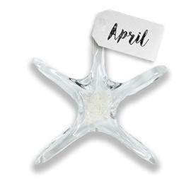 Luke Adams Glass Starfish Wall Decor – Handmade Glass Starfish for Windows – Sea Shell Wall Decoration for Coastal Homes (April)