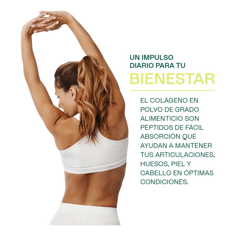 Colageno Hidrolizado Suplemento Peptidos De Colageno 500 G Sin Sabor
