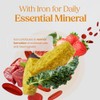Multivitamin & Iron Tablets – Daily Vitamins & Minerals Supplement