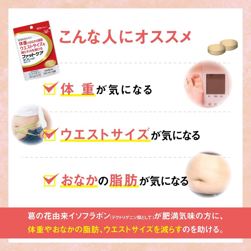 Fat Care Tablets (Grain Type), 42 Tablets (14 Day Supply)