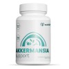 Probióticos Akkermansia 400 Mg Salud Intestinal Y Metabólica
