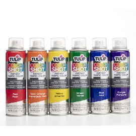 Tulip COLORSHOT Permanent Spray Paint for Fabric, Quick Dry, Dries Soft, Colorful, Rainbow