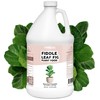 TPS NUTRIENTS Fiddle Leaf Fig Plant Food for All Fig