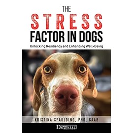The Stress Factor in Dogs: Unlocking Resiliency and Enhancing Well-Being