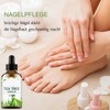 MrCuvaryas Tea Tree Oil, Organic Natural Tree Oil for Face,