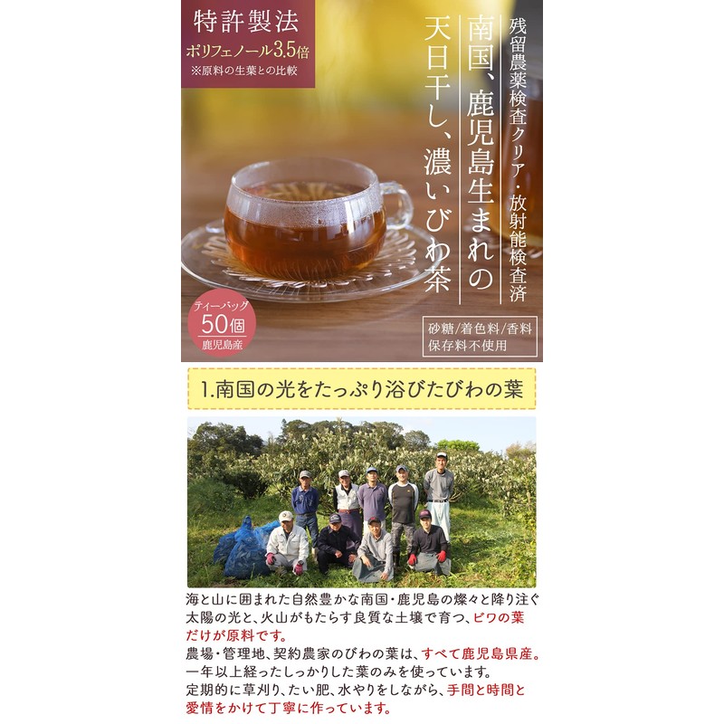 Honjien Tea Koshima Prefecture, Healthy Tea, 0.07 oz (2 g)