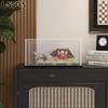 LASOA Acrylic Display Case for Collectibles, Alternative Glass Display Box