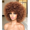 HIHOO Short Afro Wig with Bangs for Black Women Afro