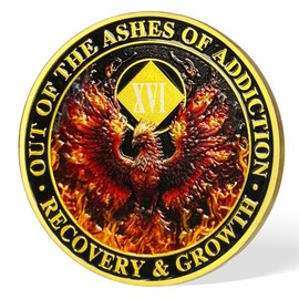 16 Year NA Medallions | Fiery Phoenix Narcotics Anonymous Recovery Coins | NA Sobriety Gifts for Men & Women | Celebratory Clean Time Coin for Blank Anniversary | NA Chips and Recovery Medallion