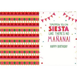 Sellers Publishing RSVP Fiesta Llama and Cactus Funny/Humorous Birthday Card