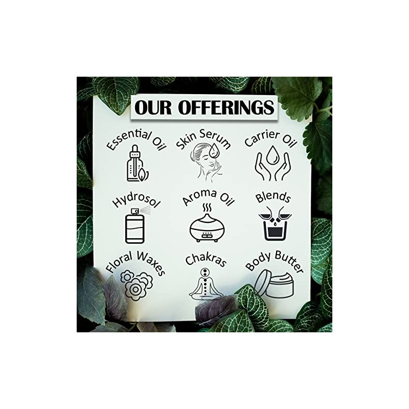 Greenwood Essential Aceite Esencial de L?dano
