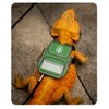 Bearded Dragon Harness Leash - Upgraded Soft Leather Harness with