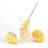 2 Pcs Gold 304 Stainless Steel Coffee Spoons, Stirring Spoons,