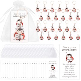 Serencatcher 72pcs Ladybug Inspirational Keychain Party Favors Lady Bug Birthday Party Decorations Ladybug Keychain with Ladybug Good Luck Gifts Cards Organza Bags for Ladybug Lover Guests Students