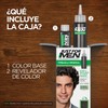 Just For Men Shampoo Tinte Cubre Canas, Castaño Negro H50,