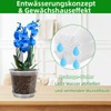 AONYIYI Transparent Orchid Pots, Pack of 10 10.16 cm Orchid