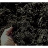 MIGHTY109 Black Gorilla Hair Mulch, Black Colored Shredded Redwood Mulch