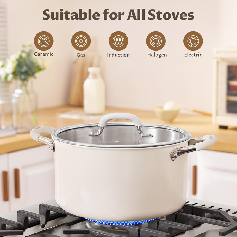 6 Quart Pot with Lid, BEZIA Tri-Ply Stainless Steel Stock