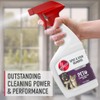 Hoover Pet Spot and Stain Remover, Pet Formula for Carpet
