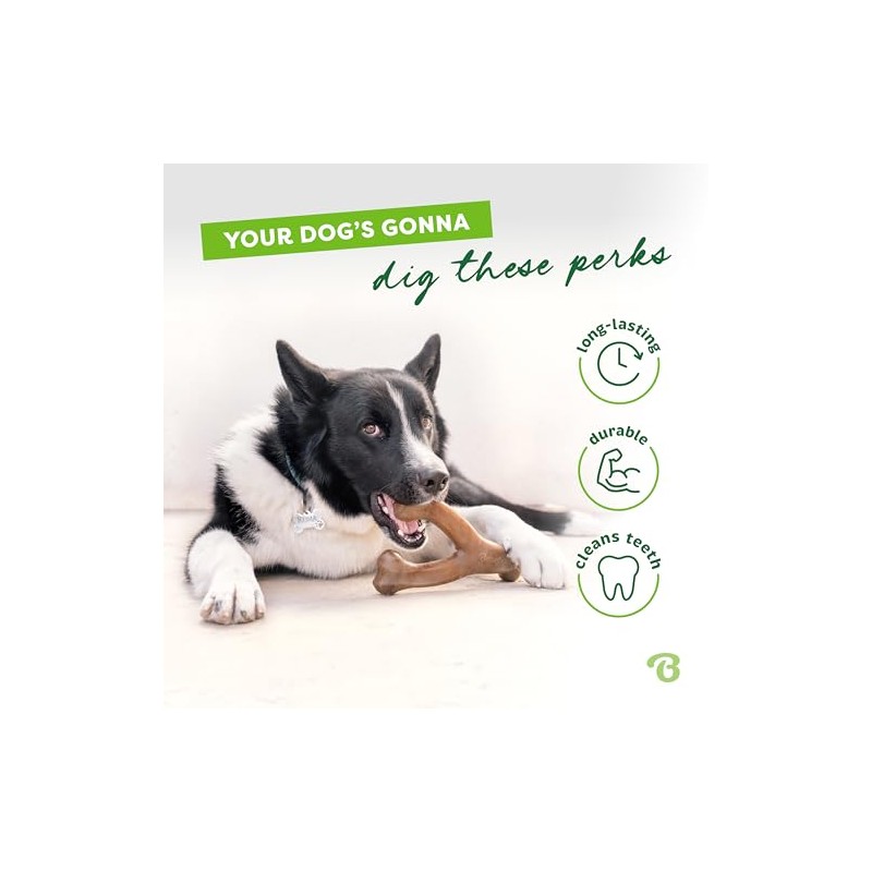 Benebone 7-Pack Medium