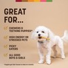 Earth Animal No Hide Stix - Long Lasting Rawhide Free