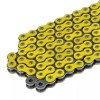 Polaris Drive Chain for Polaris Trail Blazer 250 1999 2000