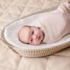 Zoe Sage Organic Stretchy Baby Swaddle Wrap - 1 Pack