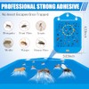 Qualirey Fly Trap Refill Cartridges Compatible with Raid/STEM/Wondercide Flying Insect