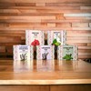 Lemon Balm Tea by Amelia Rose | Melissa Officinalis |50