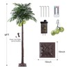 6 ft Lighted Palm Tree LED Lighted Palm Trees for