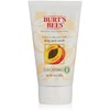 Burt's Bees Peach & Willowbark Deep Pore Scrub, 4-Ounce Tubes