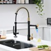 Fapully LED Kitchen Faucet with Pull Down Sprayer,Black&Gold Commercial Kitchen