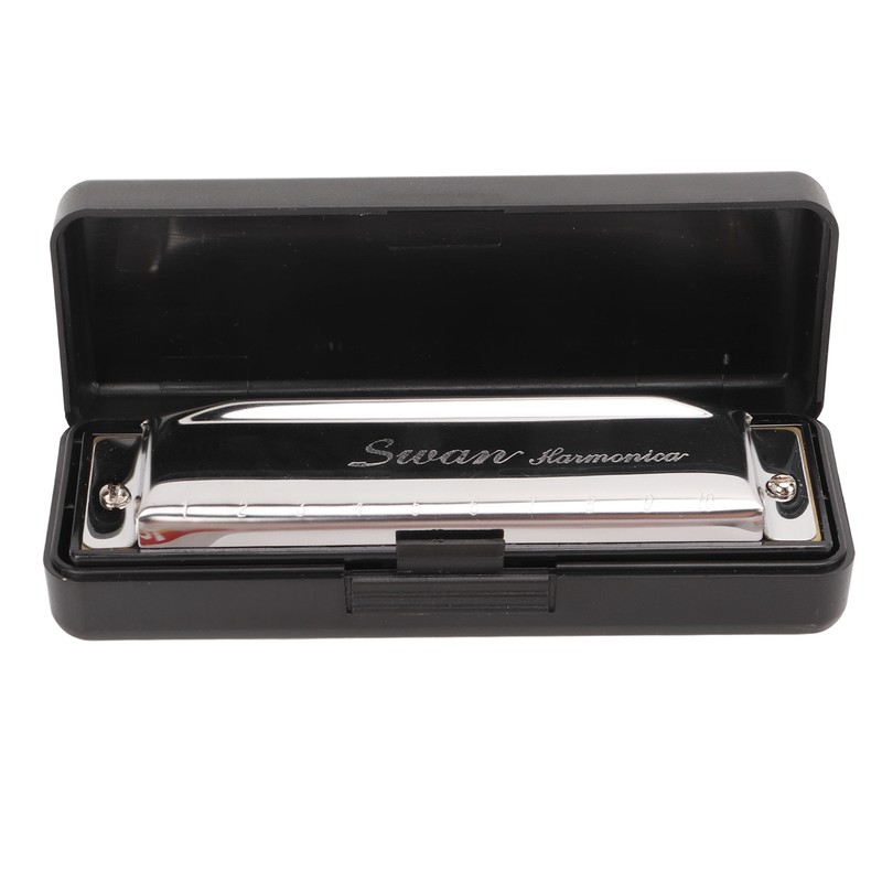 G Key Harmonica 10 Hole 20 Tone Mouth Organ Rust