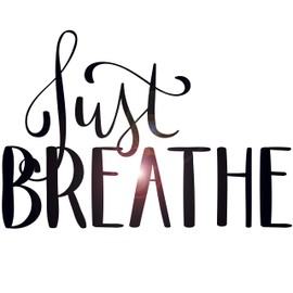 Wall Decals Quotes Just Breathe Decor Stickers Art Vinyl Sticker Stick Bedroom Peel and Stick Living Room Yoga Inspirational Sayings Boho Bathroom Zen Black Removable z5087