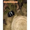 MQLPXI 6x6Ft Round Bale Hay Net, Knotless Slow Feeder Hay