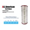 American Pool Cartridges AA-H1200, Replaces Hayward C1200 / CX1200RE, Unicel