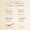 (Ultra Soft & Elastic) 2 Piece Set of 2 Pillow
