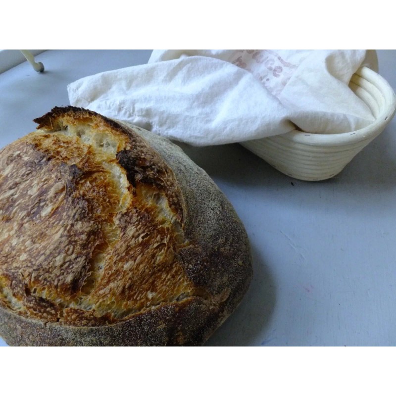 Heritage Sourdough San Francisco SOURDOUGH STARTER 200+ YRS OLD ORGANIC