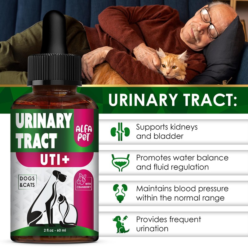 Сat Urinary Tract Infection Treatment with Cranberry – Dog UTI