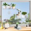 lahnao 4 Pack Window Plant Shelves, 11.8 Inch Acrylic Suction