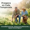 Vimerson Health Bordative Quercetina, curcumina e cúrcuma com suplemento de