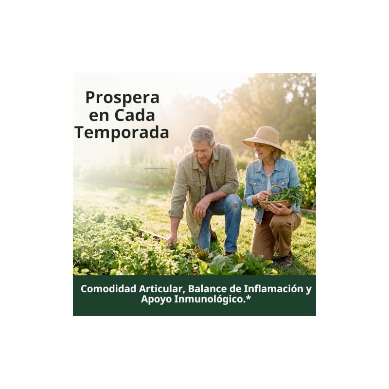 Vimerson Health Bordative Quercetina, curcumina e cúrcuma com suplemento de