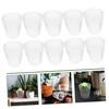 CAXUSD 10Pcs Seedling Pots for Succulent and Orchid Planting Transparent