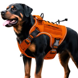 Heavy-Duty Tactical Dog Harness for Large Dogs, No Pull Adjustable Reflective Pet Vest with Molle System, K9 Military-Grade Control for Service Training, Outdoor & 10+ Breeds, Orange, XX-Large