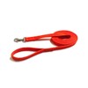 Horse Lunge Line/Large Dog Training Walking Lead Leash 25mm Padded