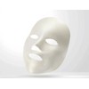Skinbolic The Gold Mask 10pcs / 스킨볼릭 더 골드 마스크