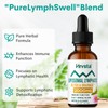 Liposomal Lymphatic Drainage Drops – Immune & Lymph Support, Detox