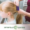 QITIMIR Colorful Hair Comb Set 6 Colors in Pack, Hair